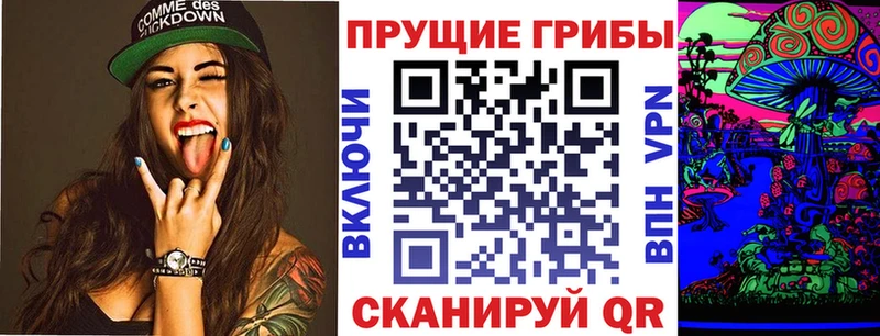 Купить где  Избербаш  Галлюциногенные грибы Cubensis 