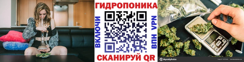 Купить где  Избербаш  Конопля сатива 